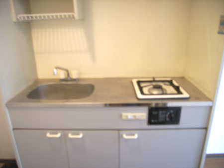 パレドール池上のキッチン|キッチンです