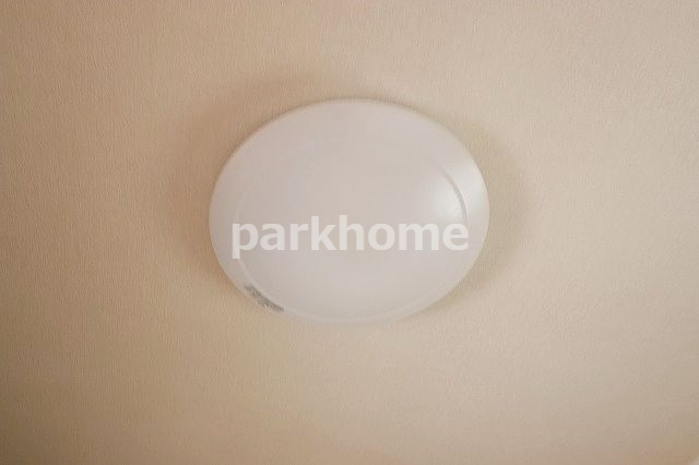 IVY COURTB棟のその他