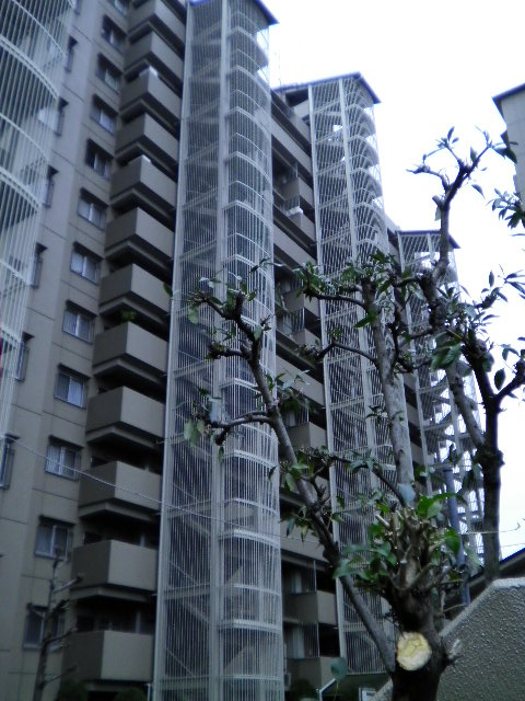 シティハイツ森小路2号棟の画像