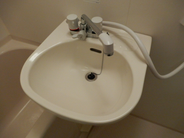 ヴェルビュ桜町の洗面所