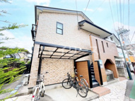 シャインブルーの画像