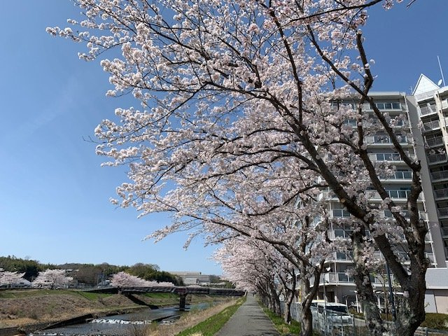 トーカンマンション新三田Ｂ棟の展望