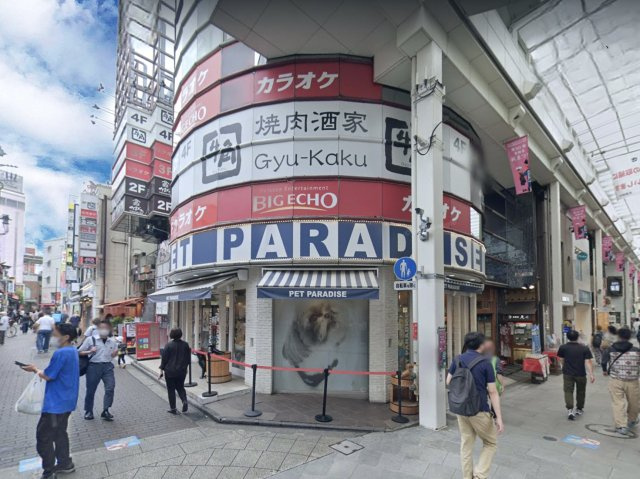 吉祥寺アルファビルの周辺