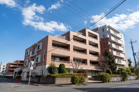 パークハウス鶴見栄町公園（鶴見区栄町通3丁目）の外観|物件の外観です　パークハウス鶴見栄町公園 　3LDK+WIC　京急本線「鶴見市場」駅徒歩11分　ペット飼育可　オートロック　新規リノベーション　買物便利　平成21年2月築　床暖房有　新耐震基準　