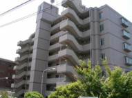 ハイグレード高井田の画像