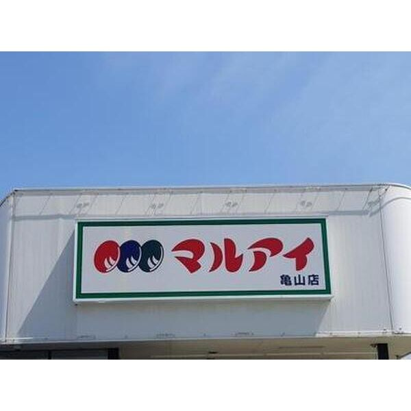 キャッスルコート飯田の周辺
