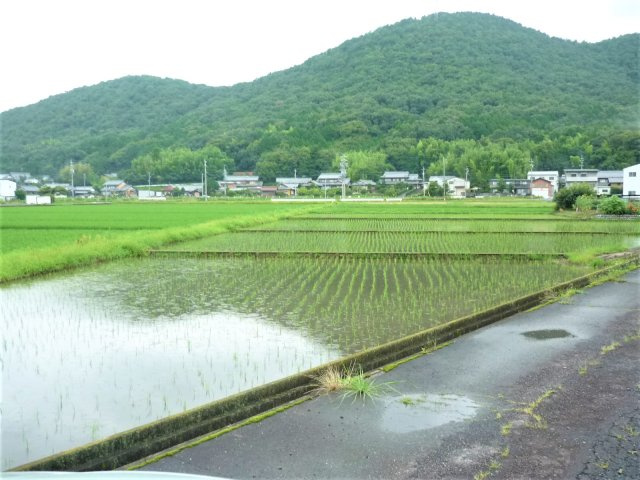 ６０９２８　岐阜市岩滝東二丁目土地の外観