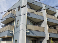 アンプルール フェール M.Yの画像