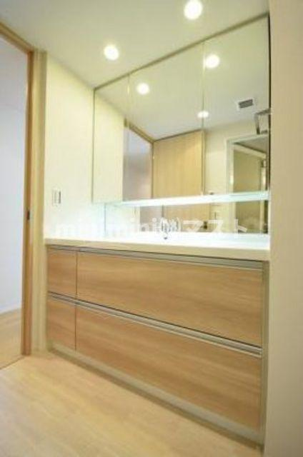 阿波座ライズタワーズフラッグ４６の洗面所