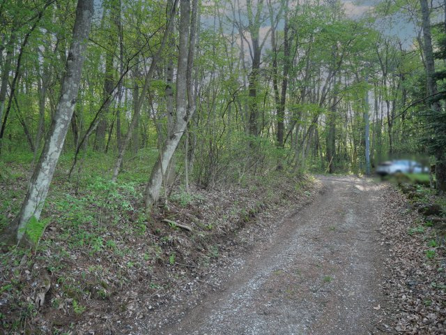ブランニュー北軽井沢①の前面道路含む現地写真