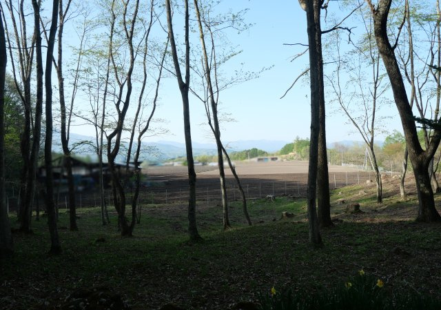 ブランニュー北軽井沢①のその他|眺望