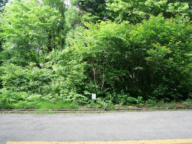 ニューパークひるが野②の外観