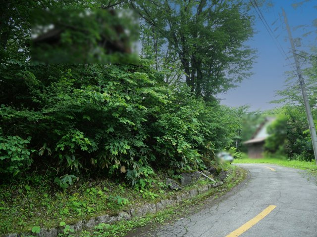 ニューパークひるが野③