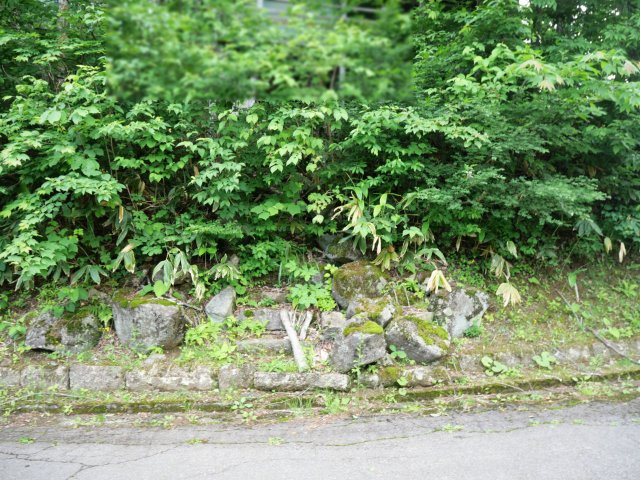 ニューパークひるが野③の外観