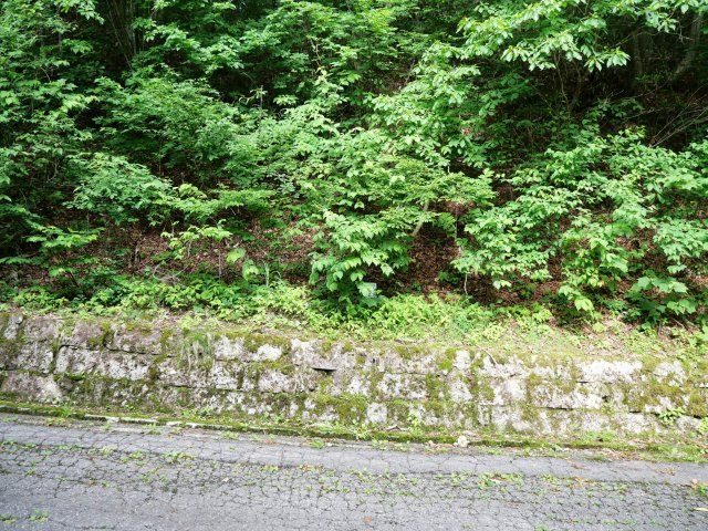 ニューパークひるが野④