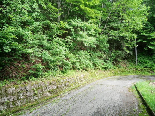 ニューパークひるが野④の前面道路含む現地写真