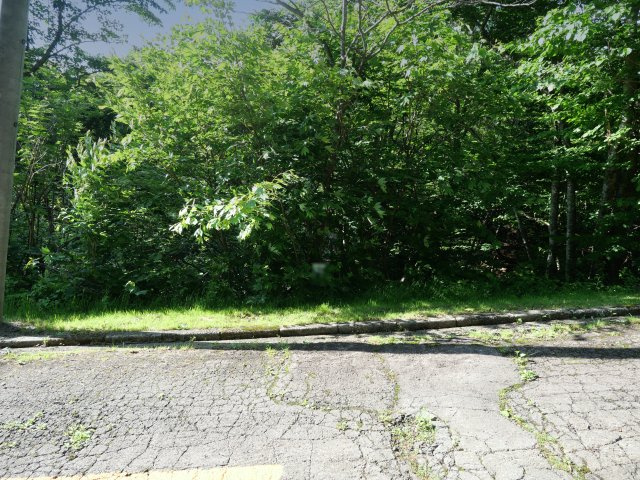 ニューパークひるが野⑤の外観