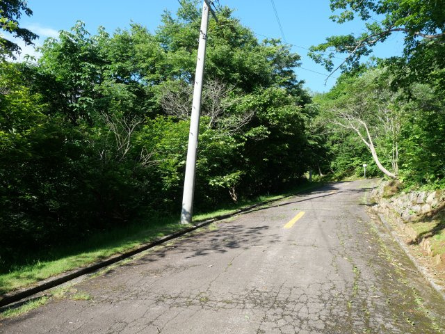 ニューパークひるが野⑤の前面道路含む現地写真