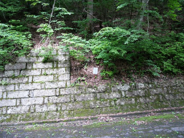 ニューパークひるが野⑥の外観