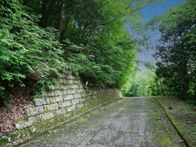 ニューパークひるが野⑥の前面道路含む現地写真
