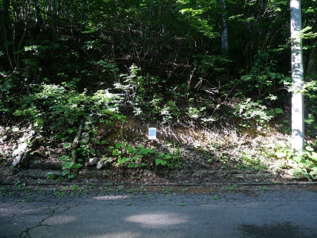 ニューパークひるが野⑦