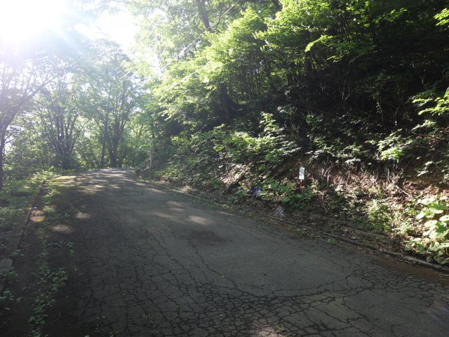 ニューパークひるが野⑦の前面道路含む現地写真