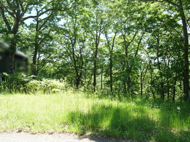 ひるがの高原リゾート翠峯苑①の外観