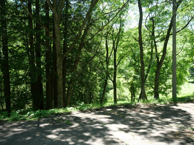 ひるがの高原リゾート翠峯苑②