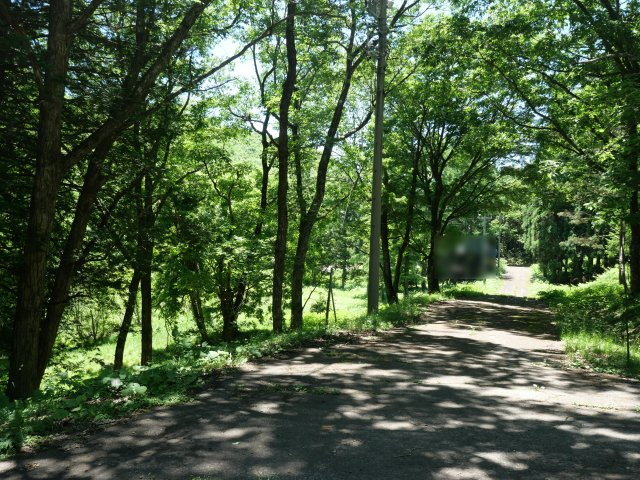 ひるがの高原リゾート翠峯苑②の前面道路含む現地写真