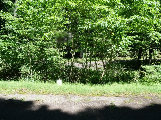 荘川ビレッジ①