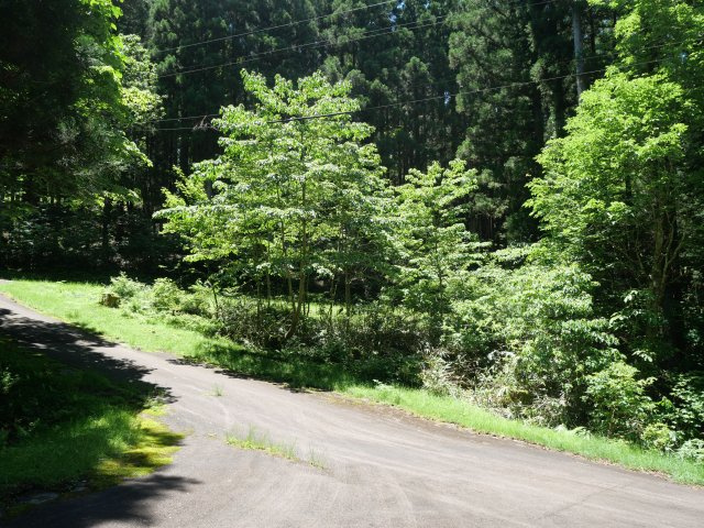 荘川ビレッジ①の前面道路含む現地写真