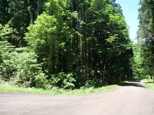 荘川ビレッジ①の前面道路含む現地写真
