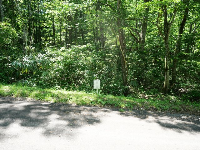 荘川ビレッジ②