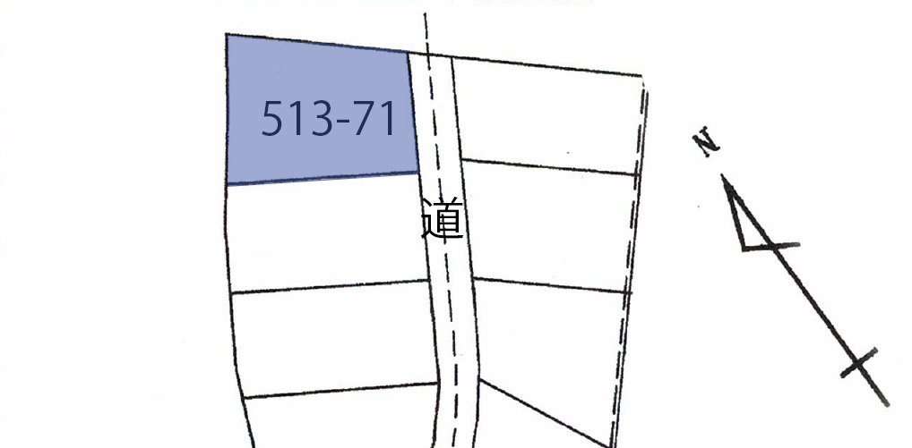 荘川ビレッジ②の土地図