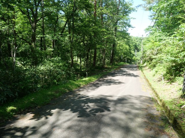 荘川ビレッジ②の前面道路含む現地写真
