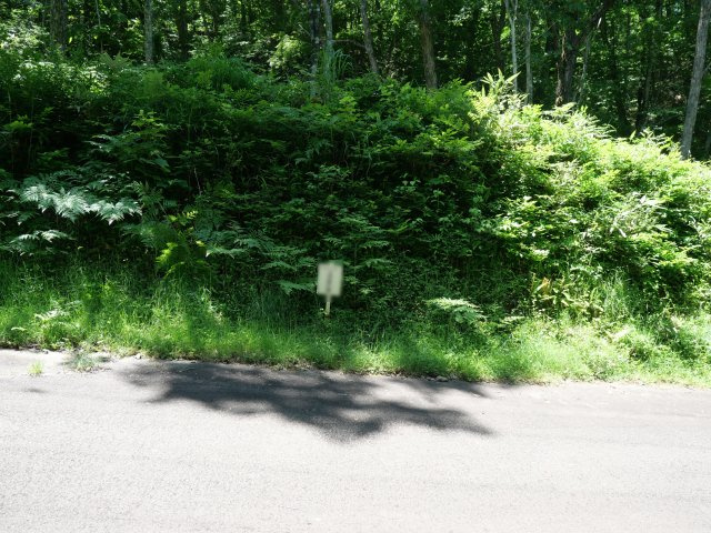 荘川ビレッジ③