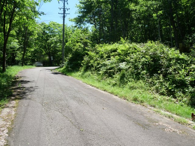 荘川ビレッジ③の前面道路含む現地写真