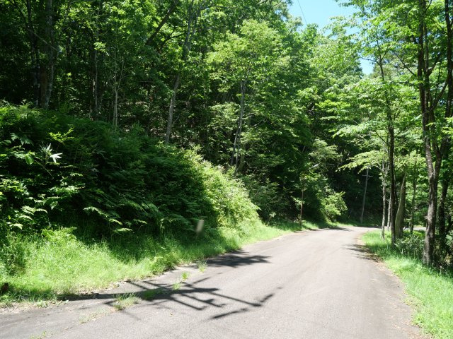 荘川ビレッジ③の前面道路含む現地写真