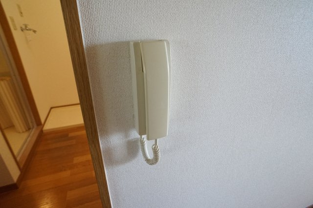 ハイツアトラスⅡのセキュリティ