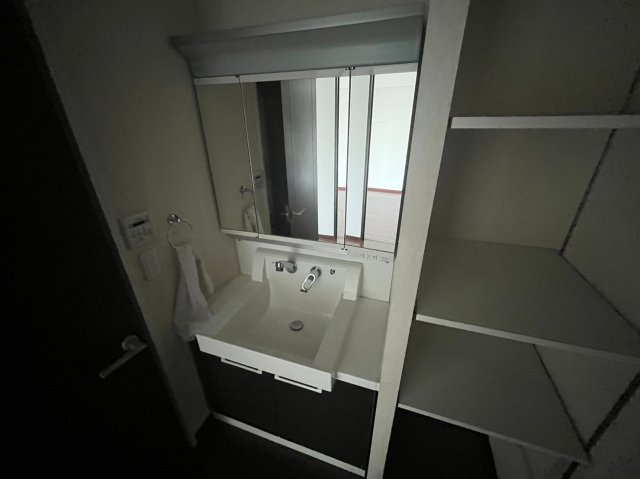サニープレイス西芦屋２号館の独立洗面台
