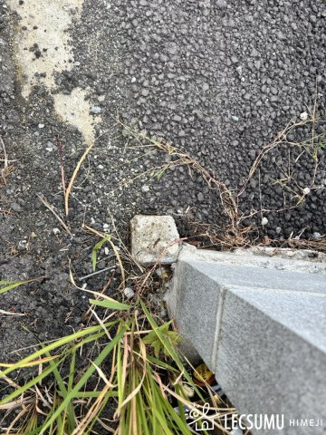 姫路市網干区新在家／3区画のその他