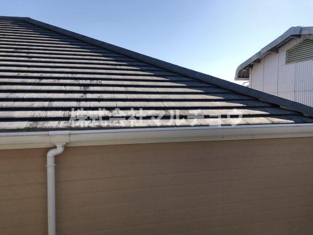 ミラノハイツの展望