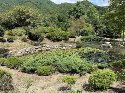 【庭】 | 多可町加美区奥荒田　戸建て