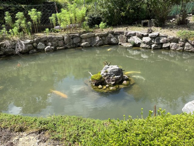 【庭】 | 多可町加美区奥荒田　戸建て