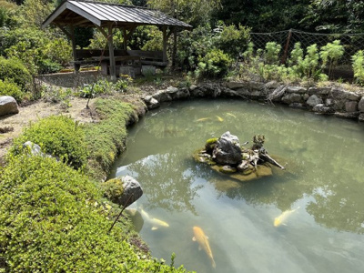 【庭】 | 多可町加美区奥荒田　戸建て