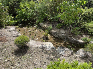 【庭】 | 多可町加美区奥荒田　戸建て