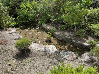 【庭】 | 多可町加美区奥荒田　戸建て