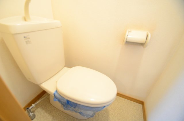 ドミールアプリコットのトイレ|トイレも気になるポイント