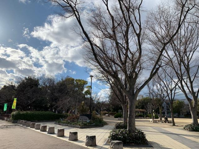 【周辺】 | 西宮市　甲子園網引町　新築戸建