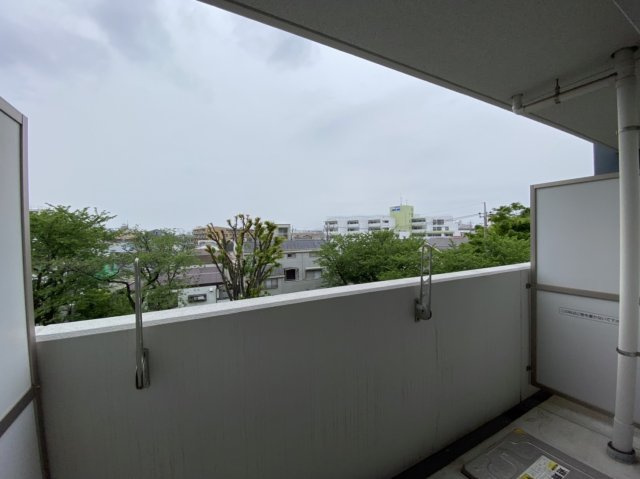 【展望】 | ふじみランド